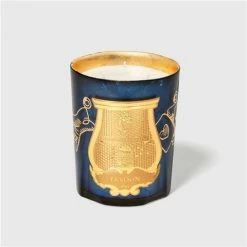 Trudon - Charming Christmas Collection Fir Candle 800g