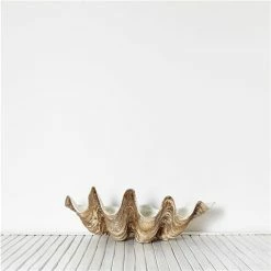 Clam Shells - Vintage Clam Shell Medium