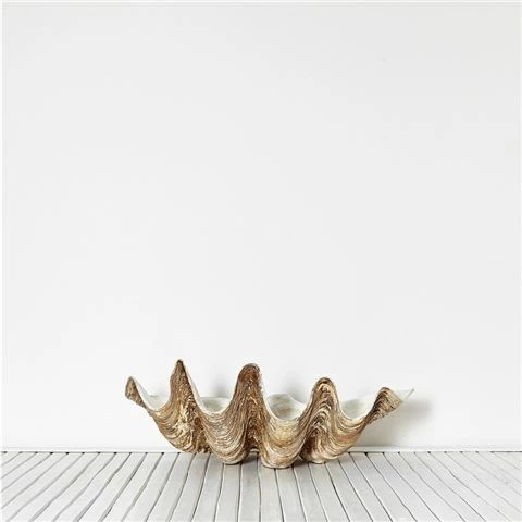 Clam Shells - Vintage Clam Shell Medium 1 Clam Shells - Vintage Clam Shell Medium