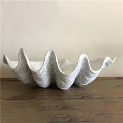 Clam Shells - White Clam Shell Medium 52cm