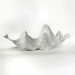 Clam Shells - White Clam Shell Large 68cm