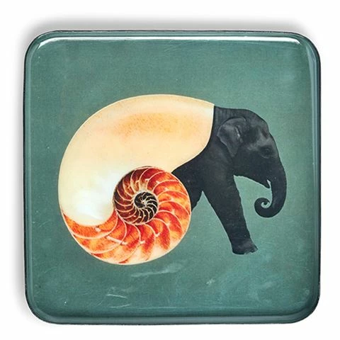 Gangzai - Shellephant Trinket Tray 15x15cm 1 Gangzai - Shellephant Trinket Tray 15x15cm