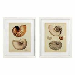 Vandenberg - Prints Antique Nautilus Set Of 2pce