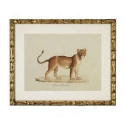 Vandenberg - Print Pantherel Male