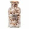 Ivory House - Mixed Shells Tall Jar Natural