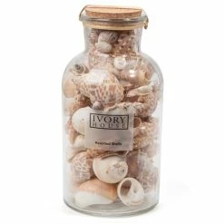 Ivory House - Mixed Shells Tall Jar Natural