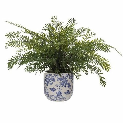 Rogue Import Rogue - Lace Fern Lucille Pot 39cm 1 Rogue Import Rogue - Lace Fern Lucille Pot 39cm